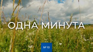 № 10 / Одна минута / Разнотравье / Лето / Тверская область