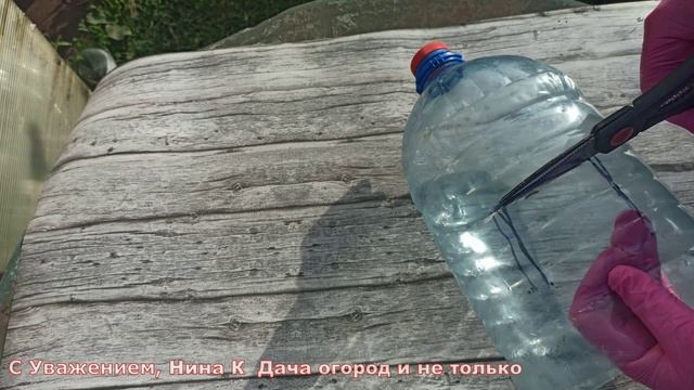 ПОЧЕМУ Я РАНЬШЕ НЕ ДОДУМАЛАСЬ СДЕЛАТЬ ЭТИ ПРИСПОСОБЛЕНИЯ ДЛЯ СБОРА ЯГОД СВОИМИ РУКАМИ
