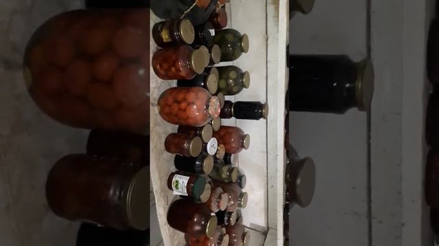 Устройство глубокого погреба (подполье,  подвал) в частном доме. Улан-Удэ, Бурятия, 2021.
