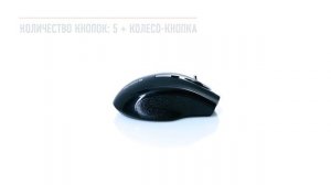 Беспроводная оптическая мышь Defender Accura MM-665