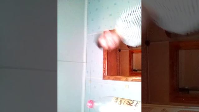 Ем лук и залп кваса смотреть онлайн