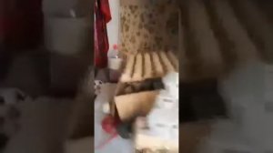 Дети в холодильнике!!!!!?????? Шок