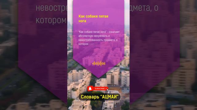 Что значит "как собаке пятая нога" в Бизнесе?