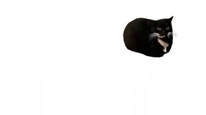 Android1996 Maxwell cat intro