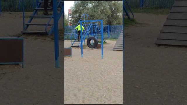 Дрессировка собаки Басенджи номер "3". смотреть онлайн