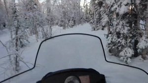 Polaris widetrak IQ fs 750 2009