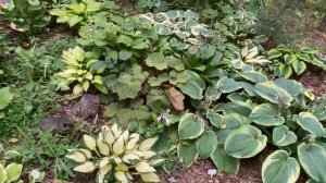 АВГУСТ😇СПАСАЮ УРОЖАЙ🙃