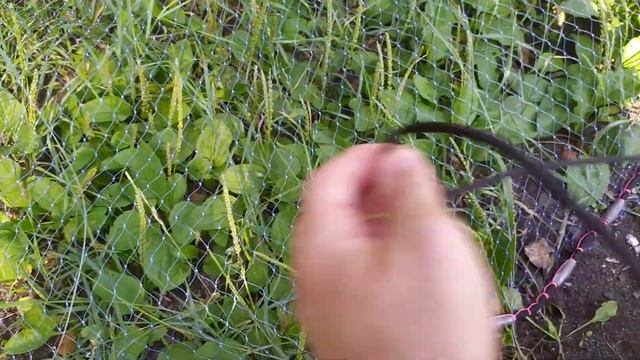 Кастинговая сеть (американка) +/-4 метра диаметр, ячейка 20 мм, леска 0.4 мм, вес 3.5 кило. смотреть онлайн