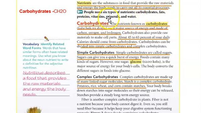 Chapter 3 Lesson 1 Food and Energy part 1 смотреть онлайн