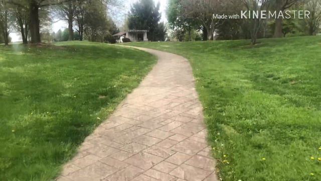 #РУССКИЕВСША Я ПОДОПЫТНЫЙ КРОЛИК В АМЕРИКЕ/ЧТО ПРОИСХОДИТ С ЛЮДЬМИ В США