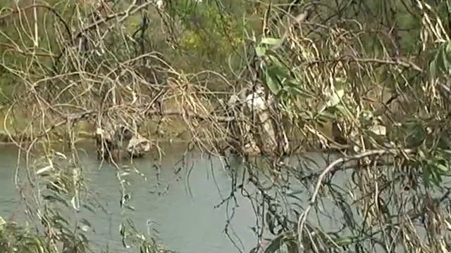 Севастопольские Паромы смотреть онлайн