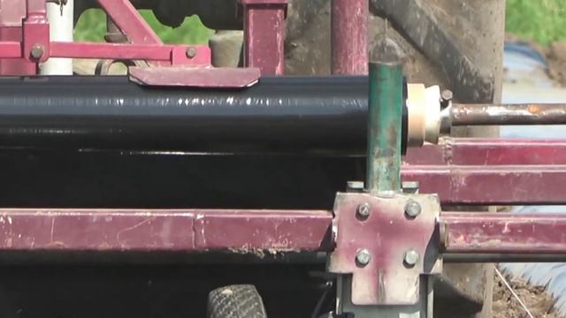 Як заробити на вирощуванні суниці. Розкриваємо секрети: від розсади до збуту. Заработай на земляник смотреть онлайн