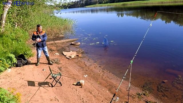 Кингисеппский р-он. р.Россонь. Рыбалка на фидер.Май 2018г. смотреть онлайн
