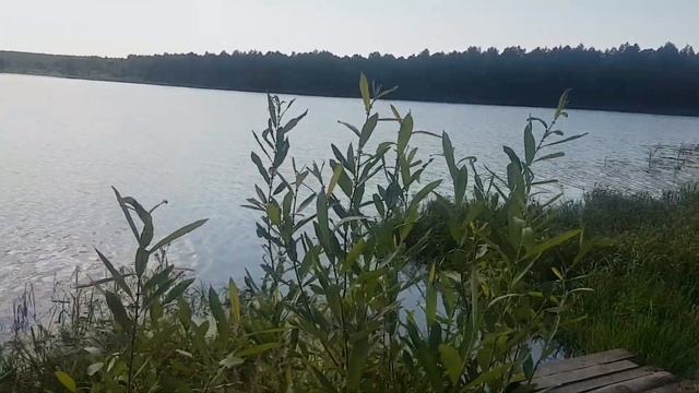 Орловское Полесье озеро Старое