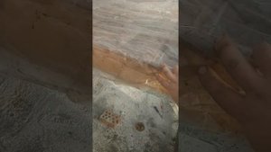 Как сделать стеллажи для выгонки лука в теплице