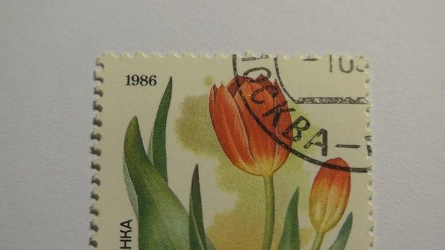 Почтовая марка. Почта СССР. 1986 г. Тюльпан Шренка