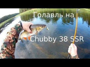 Крупный голавль на  Chubby 38 SSR