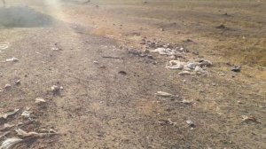 Нижний Траянов вал в городе Вулканешты