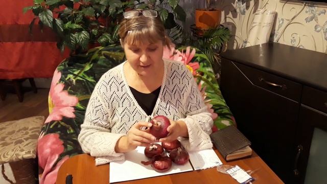 ЯЛТИНСКИЙ ЛУК!!! ТАК НЕ БЫВАЕТ!!! смотреть онлайн