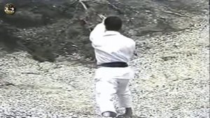 SHOTOKAN karate - The Nakayama - Jitte Kata and Bunkai (Ката Джитте)