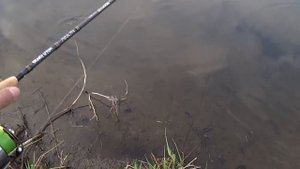Crazy Fish ARION 3-12. Спиннинг с берега в мае на реке