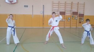 Тхэквондо в школе №1208