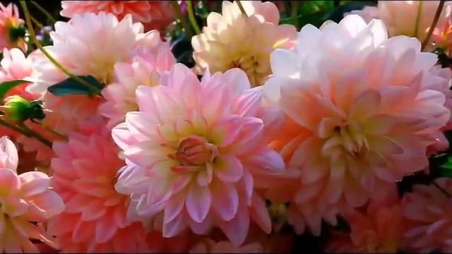 Вера Надежда Любовь.mp4 смотреть онлайн