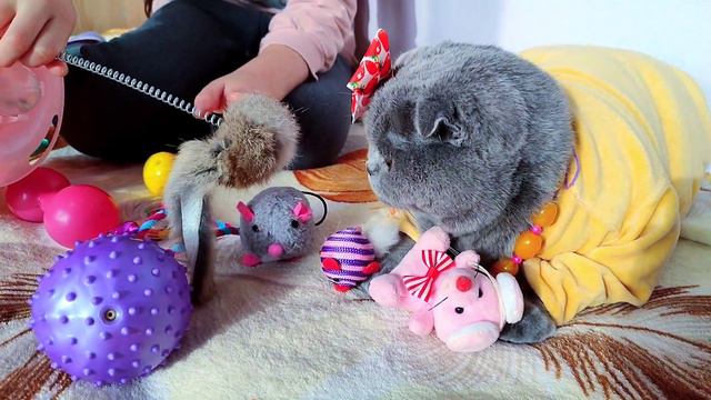 Влог / Давно не видели / Провожу весь день / Играю с ней / Много позитива