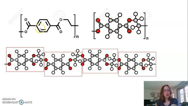 What are monomers and polymers? смотреть онлайн