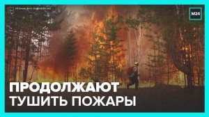 В России продолжается тушение лесных пожаров - Москва 24