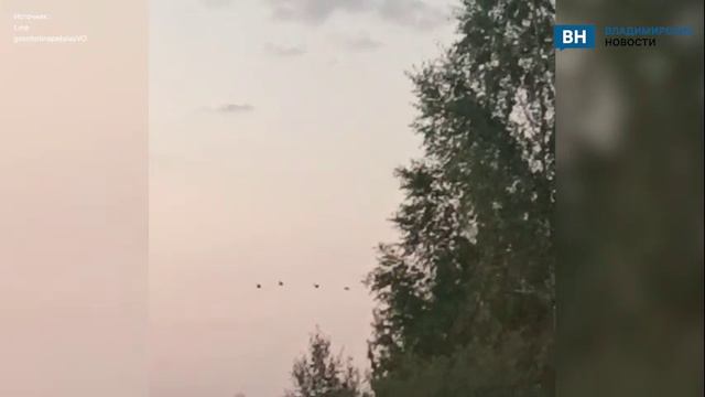 Редкие птицы прилетели во Владимирскую область смотреть онлайн