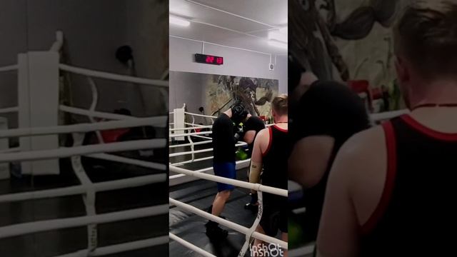 бокс в пересвет реутов russia box ринг спаринги