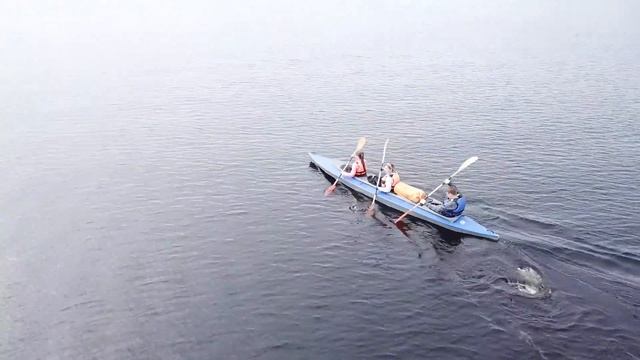 Поход на байдарках по Ладоге 2018 смотреть онлайн