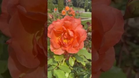 Упражнение на воображение #мыслимверно #практикименяющиежизнь #поисксебя