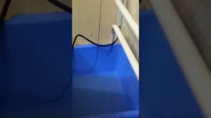 Протечка сверху по трубе парового отопления