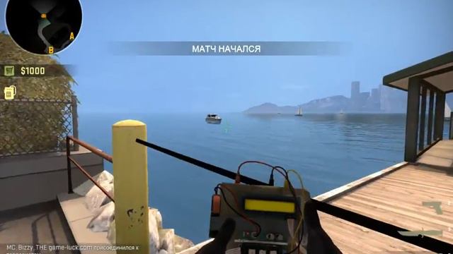 zoo - new map (27.05.2015) смотреть онлайн