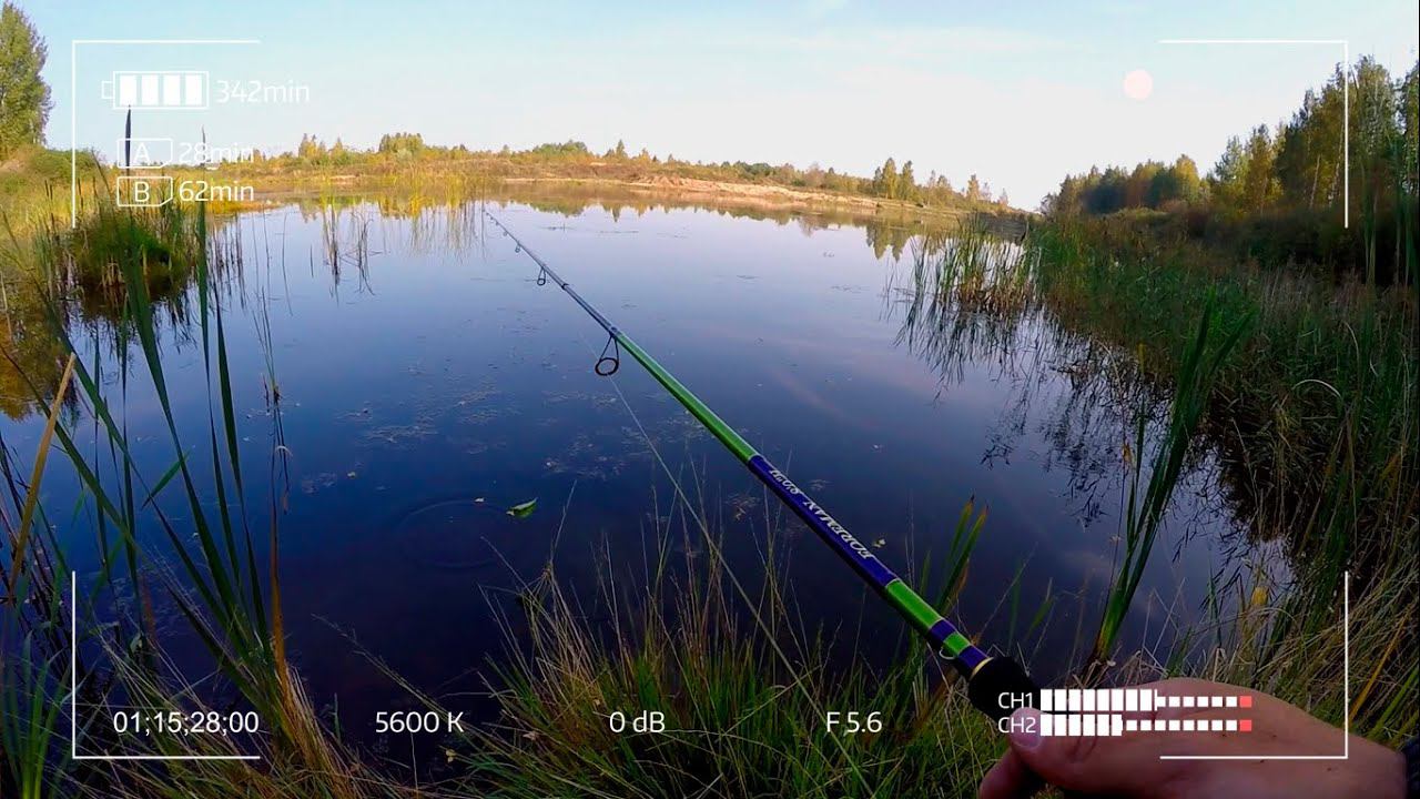 Бюджетный спиннинг Champion Rods Foreman 802H