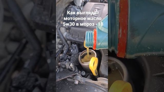 как выглядит моторное масло 5w30 в мороз -18