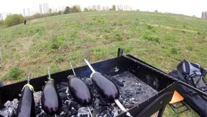 Шашлык,Пантелейкин,ВДВ