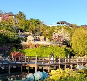 Крым ??? Японский сад в Mriya ???? Заключительная часть