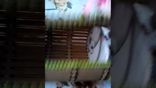 ШКАТУЛКА ИЗ БАМБУКОВОЙ САЛФЕТКИ смотреть онлайн