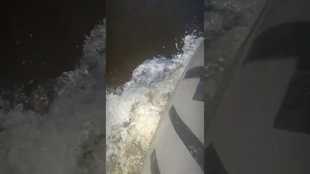 Саузово,щуки,жерех,окуни.