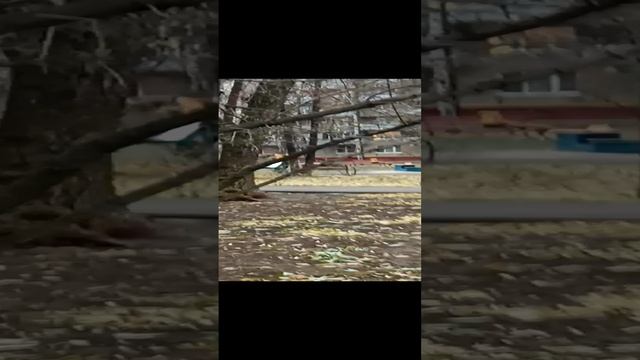 5 колонна Северное Медведково города Москвы