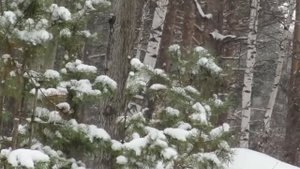 ВЕЧНАЯ СПИЧКА! КУПИЛ ОГНИВО! ПОКАЖУ КАК ПРАВИЛЬНО ПОЛЬЗОВАТЬСЯ