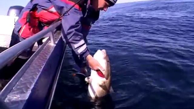 Норвегия - Рыбалка твоей мечты! Norway - Fishing Of Your Dreams!!