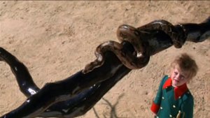 Маленький принц Алла Пугачёва Белая дверь