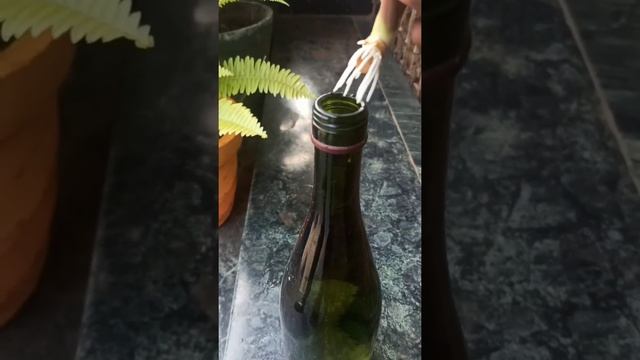 LOOK CLOSE TO THE BOTTLE CORDYLINE TANGO - EASY METHOD OF GROWING THE PLANT. VISIT THE CHANNEL !!! смотреть онлайн