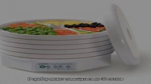 Какую сушилку лучше купить — Ezidri или Вольтера