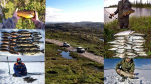 ТРЕЙЛЕР КАНАЛА