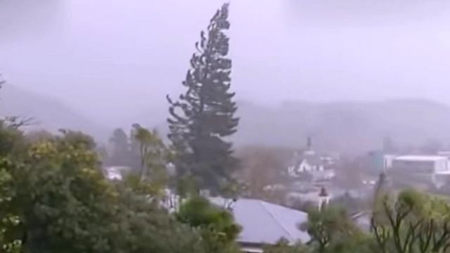 Какие бывают ветра? смотреть онлайн